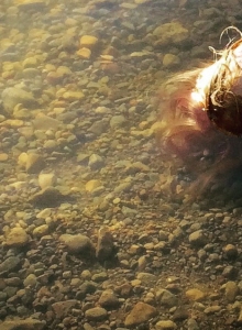 We all float down here - obrazek