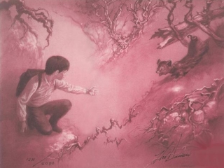 Ned Dameron - Jake and Oy - obrazek