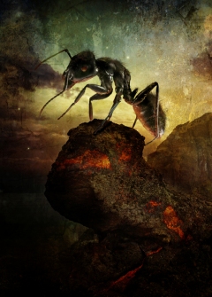 "Revival" - Ant - FranĂ§ois Vaillancourt - obrazek