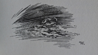 Bernie Wrightson - Cycle of Werewolf 30 - obrazek