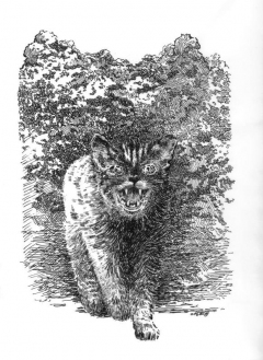 Mark Geyer - Pet Sematary 5 - obrazek