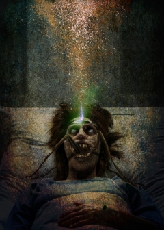 "Revival" - Mary Fay - FranĂ§ois Vaillancourt - obrazek