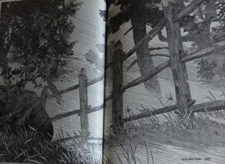 Bernie Wrightson - Cycle of Werewolf 18 - obrazek