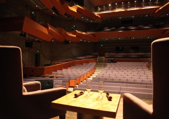 Richard B. Fisher Center for the Performing Arts (zdjÄcie 005) - obrazek