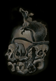 Nocna Zmiana - DaveMcKean - Cmentarna szychta - obrazek