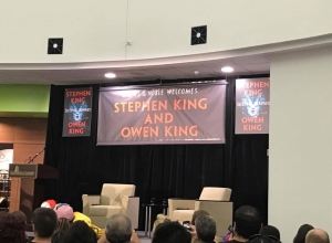 Sarasota (zdjÄcie 001) - obrazek