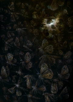 "Sleeping Beauties" - Jana Heidersdorf - obrazek