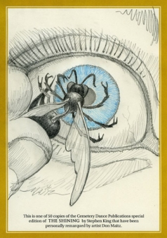 The Shining (Remarque 11) - obrazek