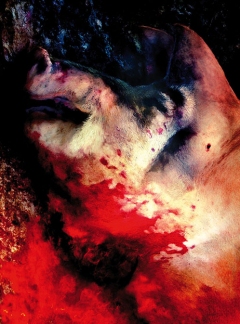 Carrie_DoubledayYears_art2 - obrazek