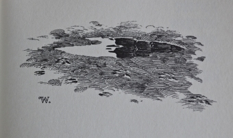 Bernie Wrightson - Cycle of Werewolf 31 - obrazek