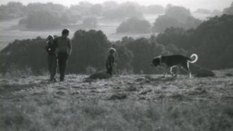 Dee Wallace, Daniel Hugh Kelly, Danny Pintauro i Daddy - jeden z 3 BernardynĂłw wciuelajÄcych siÄ w Cujo w czasie wolnym na planie w Santa Rosa - obrazek