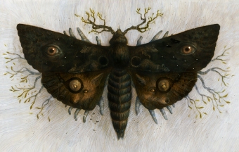 "Sleeping Beauties" - Jana Heidersdorf - obrazek