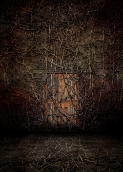 "Revival" - Small Door - FranĂ§ois Vaillancourt - obrazek