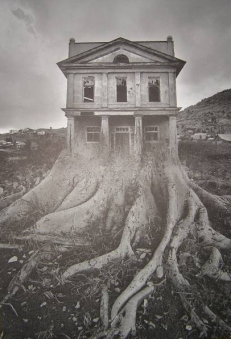 Jerry Uelsmann - Salems Lot 05 - obrazek