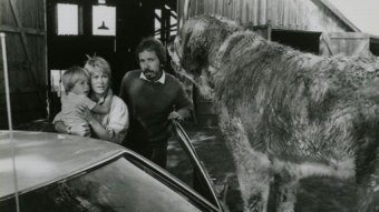 ReĹźyser Lewis Teague instruuje Dannyego Pintauro i Dee Wallace na planie Cujo - obrazek